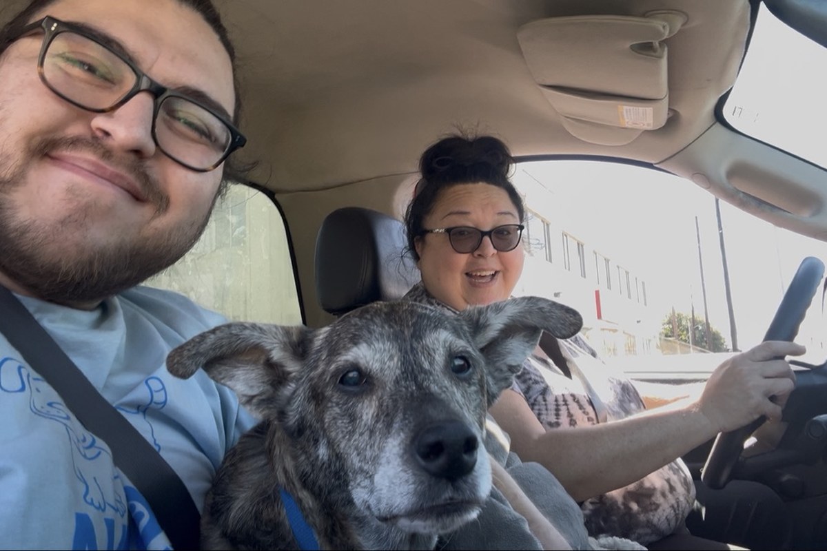 Nacho, Charisma, and Louie
